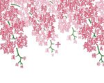 蓋城中文學校將舉辦「彩繪葫蘆–漢字之美漢字的故事大賽」
