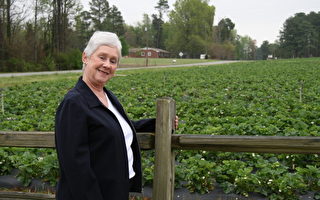 科普蘭太太的草莓農場