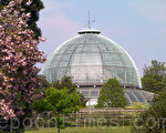 春暖花開 比利時王室花園對外開放