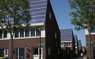 借鑑荷蘭 高雄發展太陽能更優勢