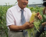 山地鄉莫災重建 水果玉米試種成功