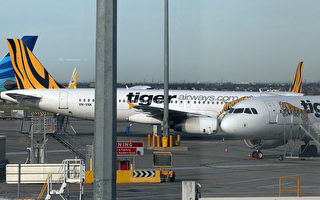 新加坡虎航被澳民航安全管理局停飛一週