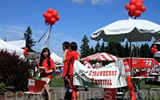 西雅图草莓节吸引数万游客