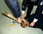 瘫痪后新生 国际关注 现又被迫害