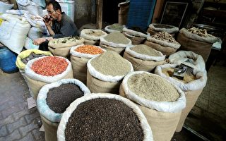 嚴防疫情 歐盟禁埃及種籽進口