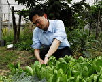 中医师的养生之道 种菜回归自然