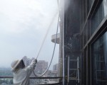 水攻巢蜂窜逃 4消防员遭螯