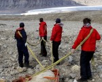 2011年8月5日，挪威瓦爾巴群島發生北極熊襲擊遊客，造成一人死亡，四人嚴重受傷。圖為肇事的北極熊被人開槍打傷致死。（圖片來源：ARILD LYSSAND／AFP）,