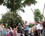 东山龙眼盛产 相邀采果趣