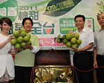 麻豆文旦大丰收 产地团体商标挂保证