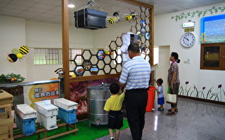 鹿港蜜蜂生态园 免费体验摇蜜