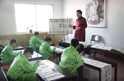 家长不满应试教育 中国现大量在家上学案例