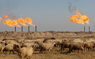 巨亏“不气馁” 中石油竞标阿富汗油田