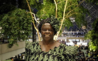 非洲首位女和平獎得主下葬「自由之角」