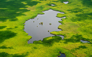 組圖：蘇丹蘇德沼澤大濕地美景　