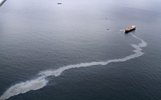 新西蘭海域貨輪觸礁漏油致嚴重海洋災難