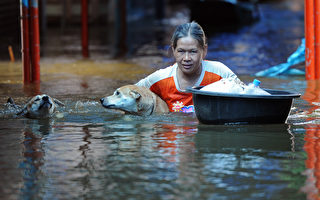 保护曼谷! 洪水淹郊区穷人