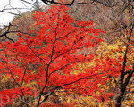 韩国芳台山枫叶美景。（摄影：全宇/大纪元）