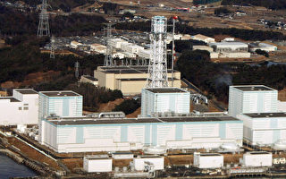 福島核電廠2號機 出現核分裂徵兆