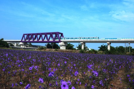 高雄市花现桥头入秋最美邂逅 花海 大纪元