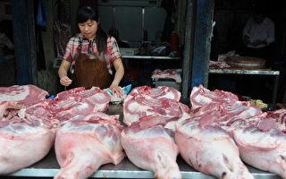 洋豬肉搶灘中國市場 大陸豬農「肉痛」