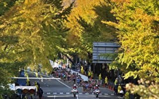 圖片新聞：橫濱女子馬拉松賽 木崎良子封后