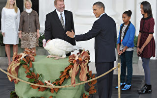 感恩节前夕 奥巴马赦免火鸡