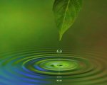 水有超能力？还是人的善愿产生奇迹？