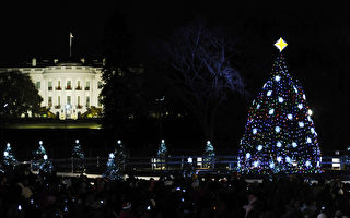 组图：2011耶诞季开锣  美国家耶诞树点灯