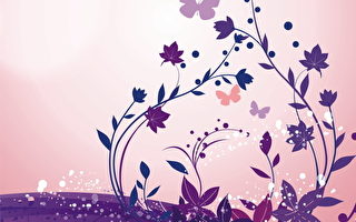 世界奇觀紫蝶幽谷在高雄茂林