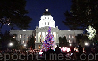 【图片新闻】加州州府大厦圣诞树点亮了