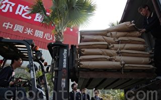 台湾米口感佳 360吨外销日本