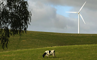 南澳風力發電發展議案引爭議