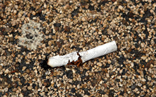 加州大学将禁烟和嚼烟草