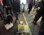 兔年近尾聲 台棄兔多一倍