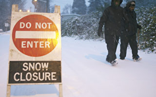 西雅圖暴風雪襲擊 學校停課 航班取消