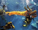組圖：上海海洋水族館　「龍宮」舞金龍