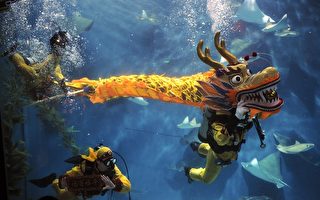 組圖：上海海洋水族館　「龍宮」舞金龍