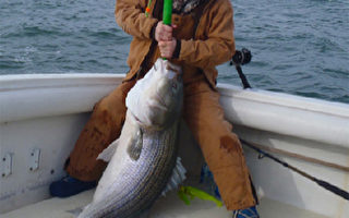 維州垂釣者捕獲74磅石斑魚