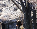 超冷！ 日本青森积雪近4米
