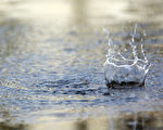 春雨