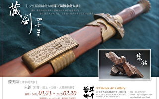 藏剑四十年  陈天阳收藏展