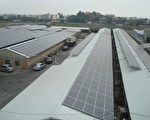 全國最大太陽能光電養豬場 異業共創環保綠能