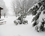 美聖地亞哥一週兩次暴雨 山區降雪