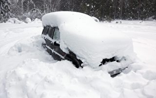 瑞典男子被困雪中两月获救