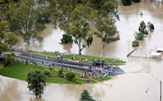 悉尼洪水突襲 一志願者勇救十人