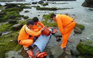 鲸豚搁浅三仙台 海巡救援上岸