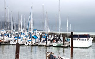 市府擬出資翻修碼頭助帆船賽