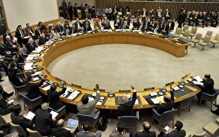 联合国安理会支持安南的叙和平计划