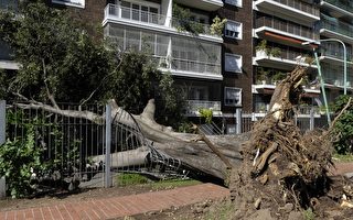 阿根廷风暴 强风致14死